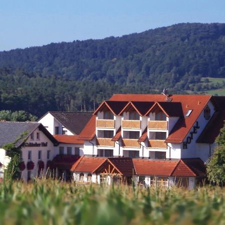 Wagners Fraenkischer Hof Altenkunstadt エクステリア 写真