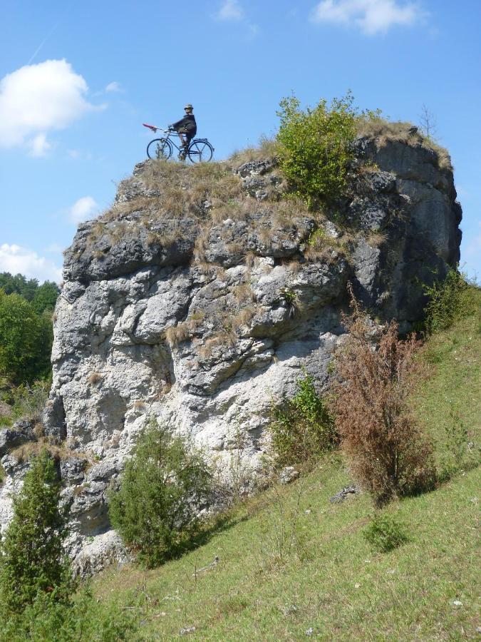 Wagners Fraenkischer Hof Altenkunstadt エクステリア 写真